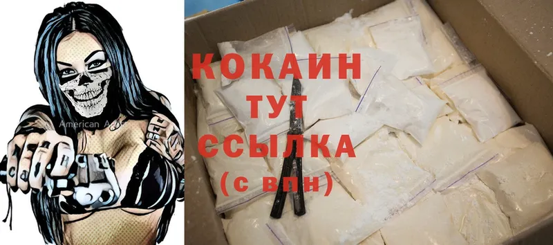 Cocaine Fish Scale  darknet формула  Анива 